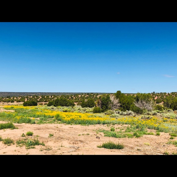 Meet your Posher, Samuel - Picture 1 of 1